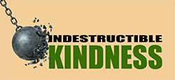 IndestructibleKindness