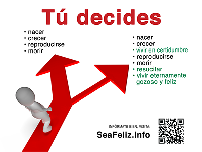 Tu decides